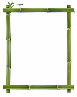 Bamboo Frame