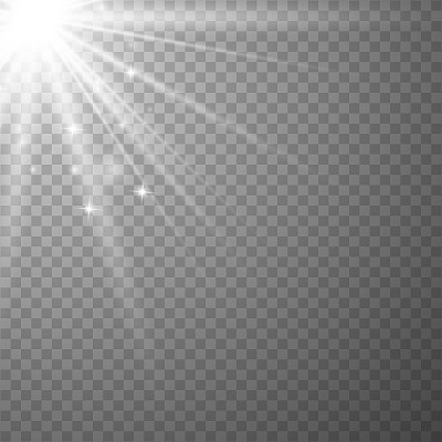 Magic lights. Sunlight with glowing particles. Vector