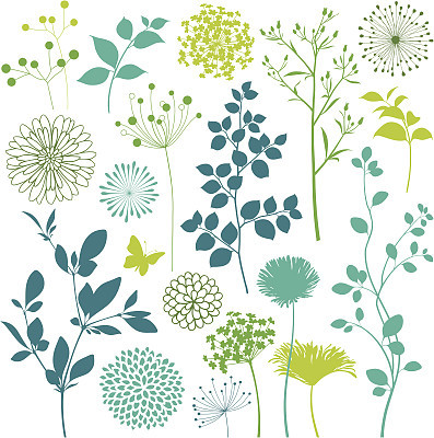 Flower and Leaf Design Elements