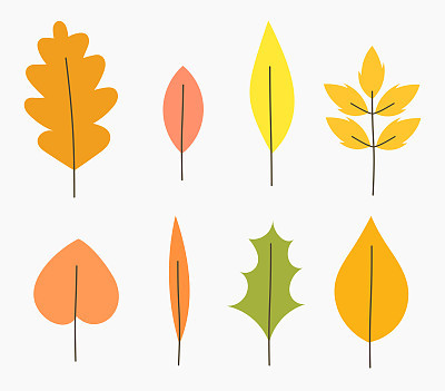 Autumn leaves vector