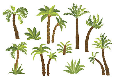 Decorative palm trees set.