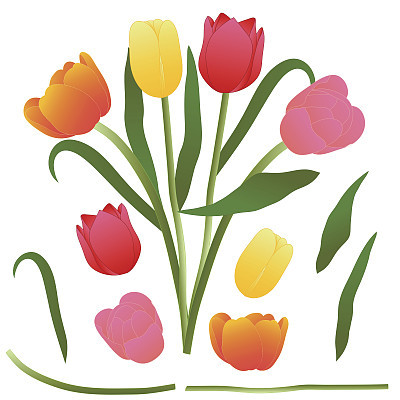 Colorful Bouquet Tulip. Vector Illustration. Isolated on White Background