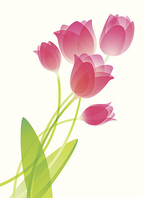 An illustration of watercolor tulips