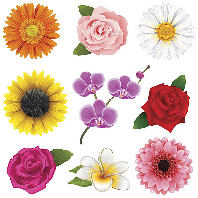 Vector Flower Icons