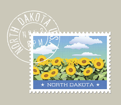 Vector illustration of field of sunflowers, North Dakota