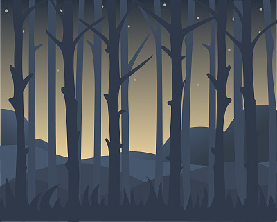 View of tree trunks