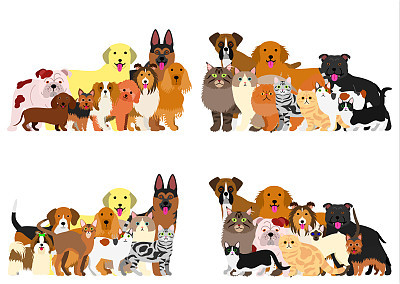 group of dogs and cats
