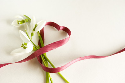 snowdrops