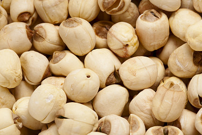 Lotus Seeds