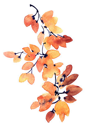Watercolor and ink painted tree branch with leaves