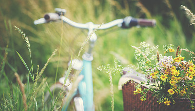 Light blue bicycle is parked with wild flowers in basket