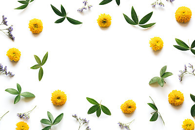 Nature Frame