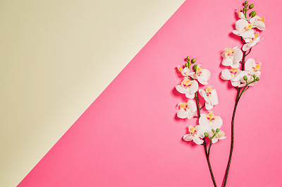 Flat lay photo of a creative freelancer woman workspace desk