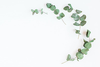 Frame made of eucalyptus branches. Flat lay, top view