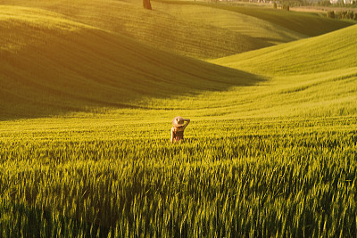 Woman in the field