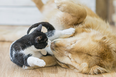 Playing Together
