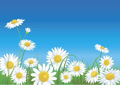 A meadow full of animated daisies that are vivid in color