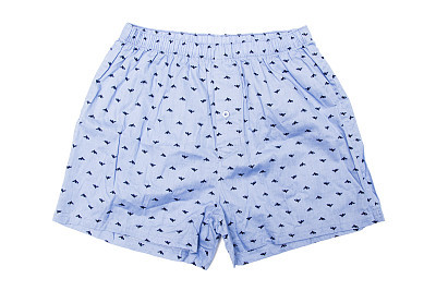 Men's briefs shorts isolated on white
