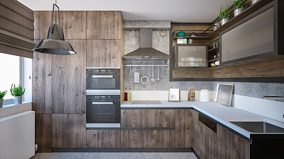 Modern domestic kitchen render