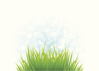 Spring grass