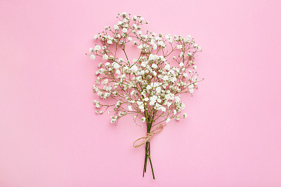 White gypsophila flowers on pink background