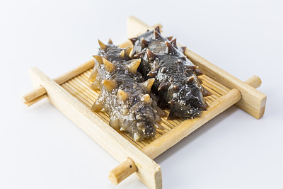 sea cucumber