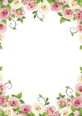 Vector background with pink and white roses.