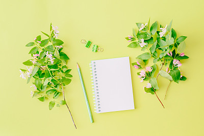 Mockup white notebook with branches and green leaves on a green background