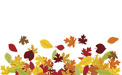 colorful autumn leaves border on white