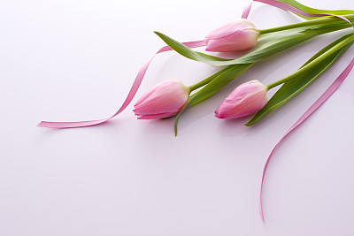 Flowers on white background