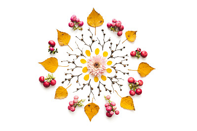 Autumn Mandala Made Of Dry Leaves And Flowers