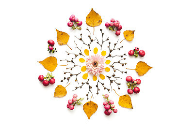Autumn Mandala Made Of Dry Leaves And Flowers