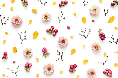 Autumn Pattern Made Of Daisy Flowers, Berries And Yellow Leaves