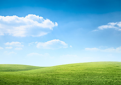 Hilly meadow