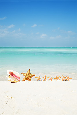 Family Summer Beach Vacation--Seashell, Starfish, Sand, Aqua Caribbean Sea预览效果