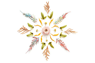 Floral Ornament