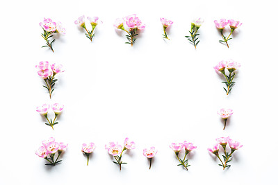 Pink Flowers Frame