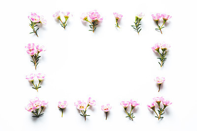 Pink Flowers Frame