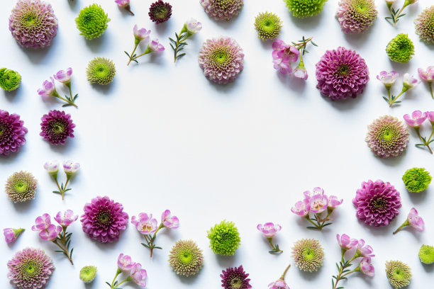 Frame With Colorful Flowers