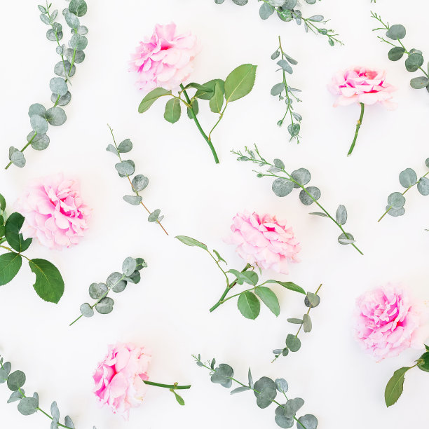 Pattern made of pink flowers and eucalyptus branches on white background. Flat lay, top view. Valentine's background
