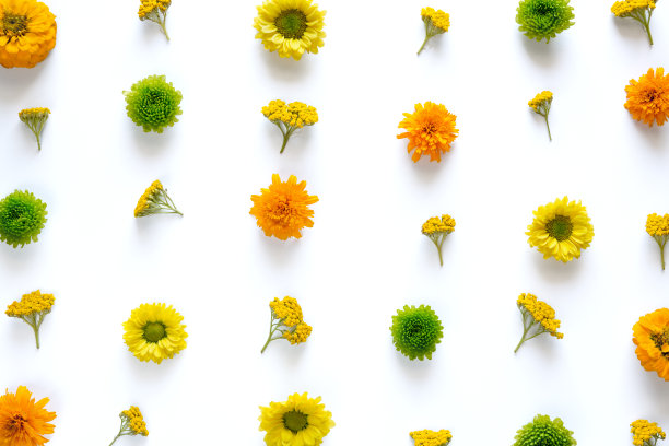 Pattern With Colorful Flowers On White Background
