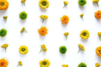 Pattern With Colorful Flowers On White Background