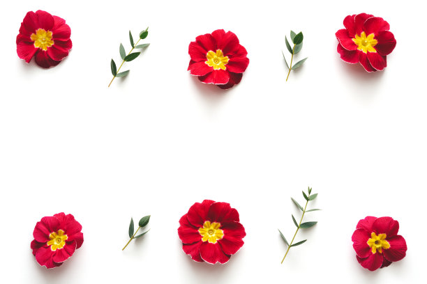 Pattern With Red Flowers On White Background