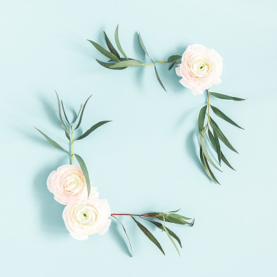 Flowers composition. Pink flowers and eucalyptus leaves on pastel blue background. Flat lay, top view, copy space