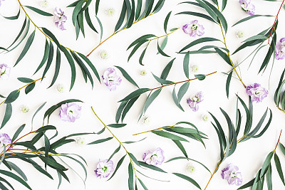 Flowers composition. Purple flowers and eucalyptus leaves on white background. Flat lay, top view