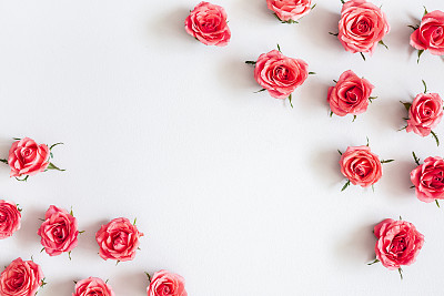 Flowers composition. Rose flowers on pastel gray background. Flat lay, top view, copy space