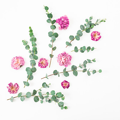 Floral composition with dried rose flowers and eucalyptus branches on white background. Flat lay, top view.