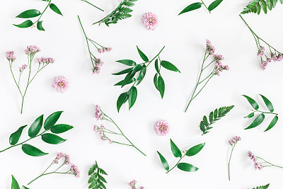 Flowers composition. Pattern made of pink flowers on white background. Flat lay, top view