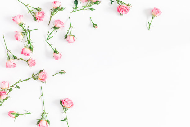 Frame made of pink rose flowers. Flat lay, top view