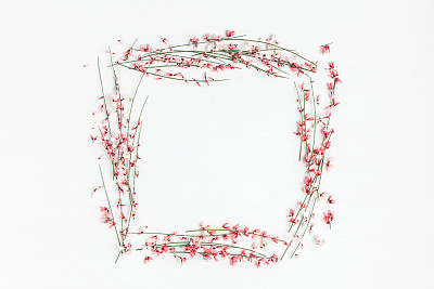 Frame made of pink flowers on white background. Flat lay